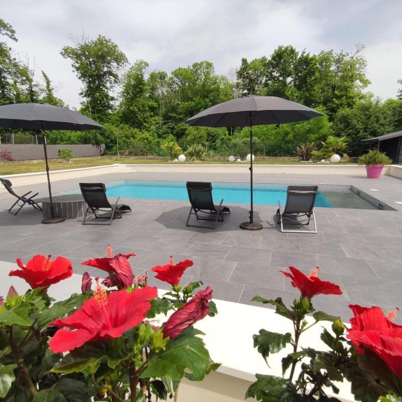 Bed and Breakfast Le Spa De L Albizia Cessieu Экстерьер фото